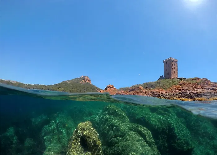 Villa Alfonsa Apartment